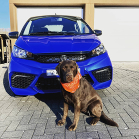 Endlich wieder Sonne ☀️